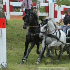 Altenfelden 2018