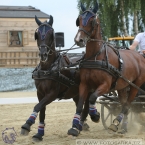 Altenfelden 2018