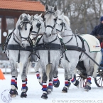 Hradištko 2017