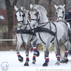 Hradištko 2017